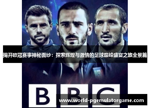 揭开欧冠赛事神秘面纱：探索辉煌与激情的足球巅峰盛宴之旅全景篇