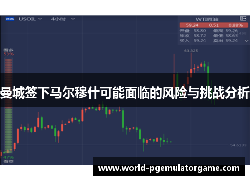 曼城签下马尔穆什可能面临的风险与挑战分析