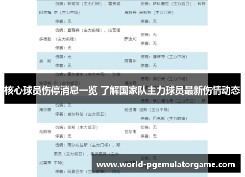核心球员伤停消息一览 了解国家队主力球员最新伤情动态